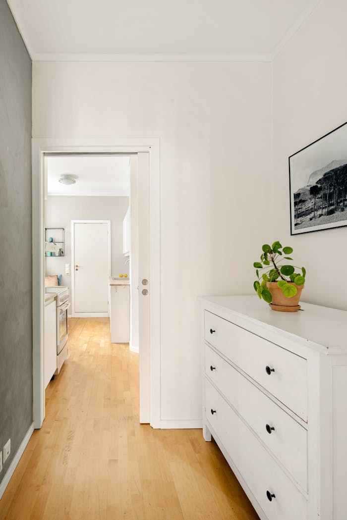 Clean and bright hallway with white drawers, potted plant, and wooden floor for a modern home interior.